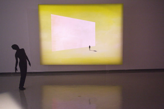 灿烂的橘色屏幕，混合人类系列，2010，旺达库珀 布面丙烯，293 x 405cm
