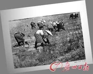白绿社创办人何铁华上世纪30A年代拍摄的《农家女》。