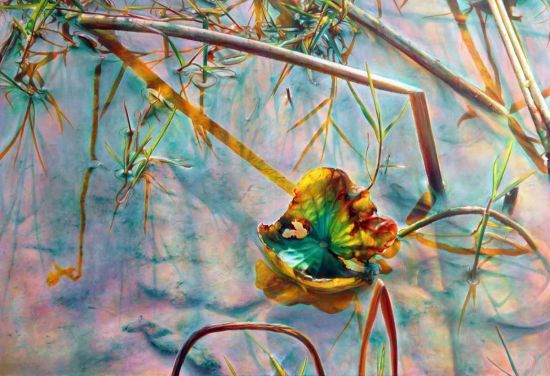 黄敏俊 《生命的彩虹》 232.5x160.5cm  油彩画布 2014