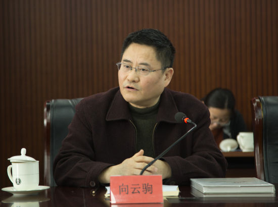 中国艺术报社社长向云驹在新闻发布会上致辞 董浩宇 摄