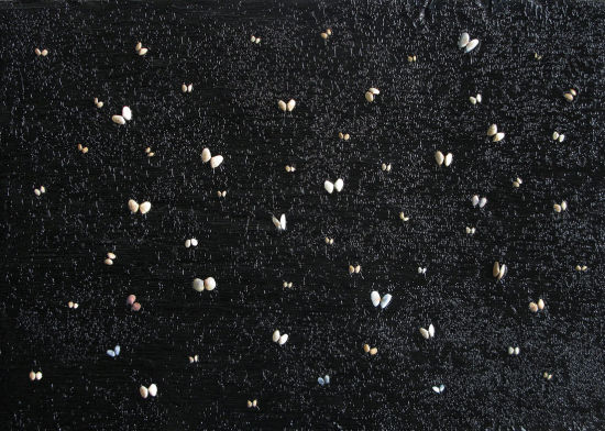 张雪瑞 黑色之一 70x100cm 木 板、油画颜料、贝壳 2013