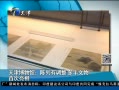 天津博物馆陈列调整