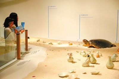 展览将在西沙华光礁出水的南宋青白釉玹纹执壶放在“沙滩”上展示。京华时报记者王海欣摄/视频