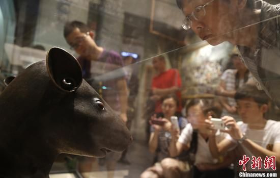 　7月19日，游客被北京中国国家博物馆展出的圆明园兽首吸引。作为国博《复兴之路》基本陈列的一部分，法国皮诺家族捐赠的圆明园青铜鼠首兔首被放在展览的第二单元——“帝国主义列强对中国的侵略”部分与公众见面。?