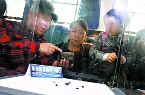 在“陨石与小行星展”上，北京天文馆的张宝林老师（左一）为参观者讲解今年坠落在俄罗斯的陨石。 纪晨摄 B128