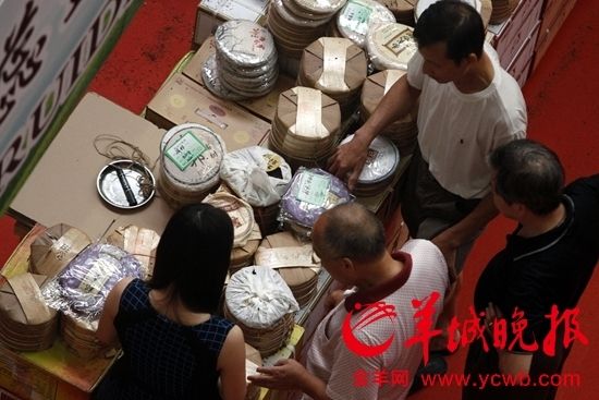自去年5月以来，普洱茶价格腰斩羊城晚报记者王俊伟摄