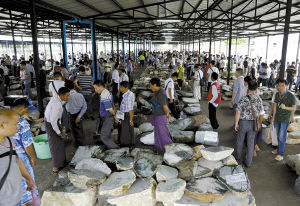 6月24日，参观者在缅甸内比都举行的第51届缅甸珠宝玉石交易会上挑选玉石。/新华社发