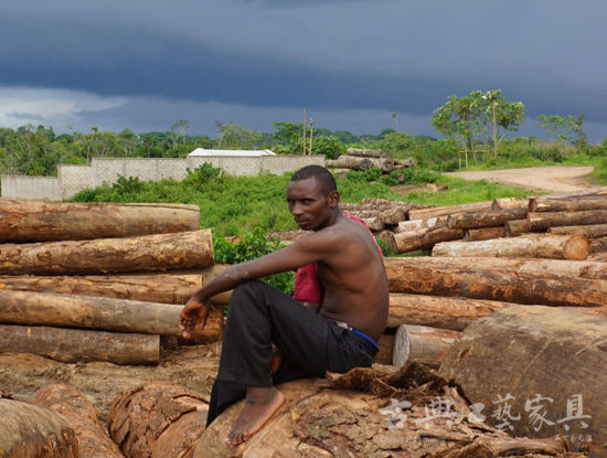 非洲私人木材堆场（摄影：李国新）