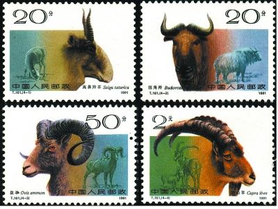 T161《野羊》特种邮票