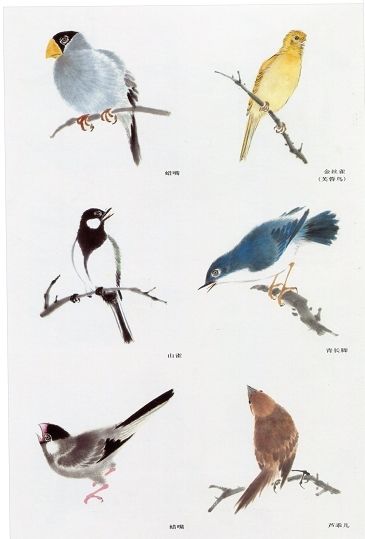 《花鸟画谱》中的鸟画法