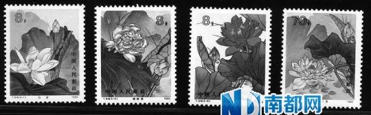 1980年出版的T 54荷花邮票。陈小C和李伟新都认为动植物系列邮票值得关注。
