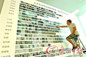 广州东方博物馆板的图谱模型展板。