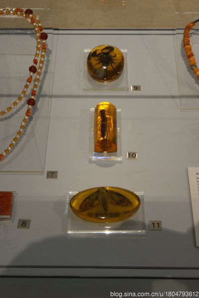 　1、1920年代加拿大的树脂项链。2、中国清代的玻璃(1387,-13.00,-0.93%)鼻烟壶。3、1940年代德国的塑料(9850,-65.00,-0.66%)手镯。4、1940年代立陶宛黄水晶。5、1930年代法国塑料耳环。6、1930年代美国胶木胸针。7、1960年代加拿大水晶项链。8、20世纪的胶木雕刻。9、10、11、越南的树脂。