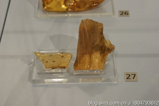 27 科巴树脂 马达加斯加200-500万年