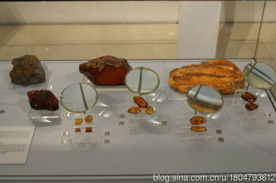 　皇家博物馆的三块琥珀之宝。左到右依次为多米尼加琥珀、德国琥珀(波罗的海)、卡列宁格勒琥珀(波罗的海)。
