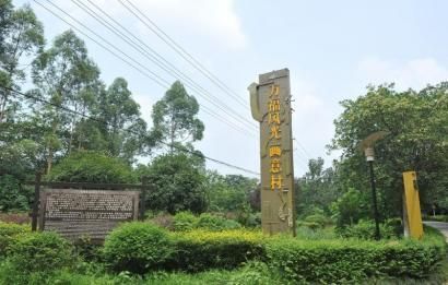 三圣乡画家村。