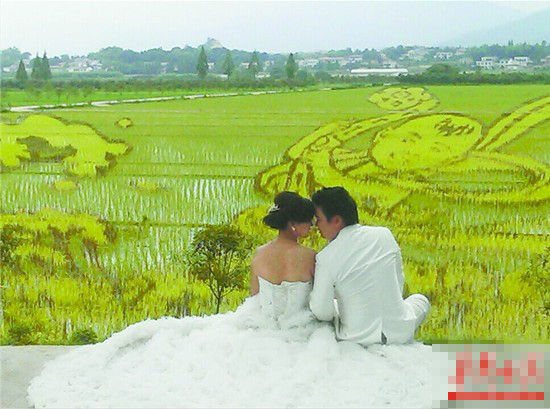 成型不久的梅田湖村稻田艺术，吸引了新人前来拍摄结婚照。通讯员涂传秀摄