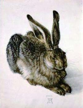 阿尔布雷特·丢勒，《野兔》（完成于1502年）