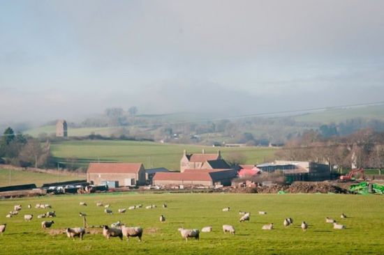 豪瑟与沃斯画廊在萨默塞特的空间