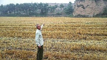 八年前，华阴农民张世雄的祖墓被盗掘
