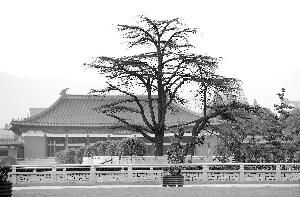 　现代快报记者 施向辉 摄