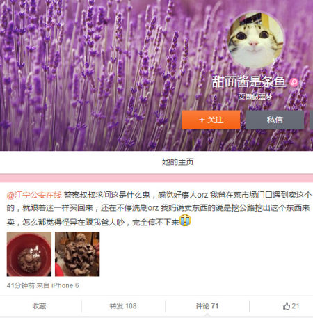 网友：我爸买的这是什么？江宁公安在线：街头古董诈骗爆款之一