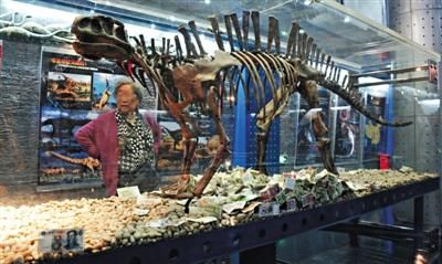 5月初，北京自然博物馆，恐龙展柜内被游客投入钱币。新京报记者浦峰 摄