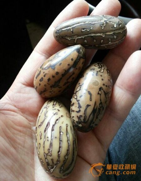 千眼菩提资料图