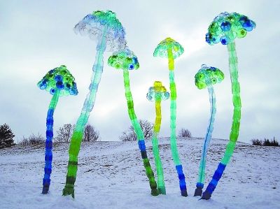 艺术家用废弃饮料瓶做成的雕塑作品