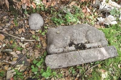 在垃圾里发现的已经破损的石羊