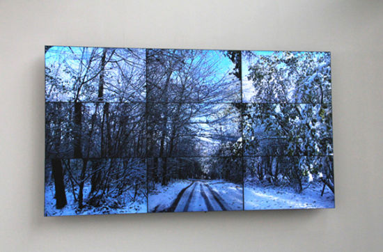 2010年创作的影像装置作品《沃德盖特森林，冬天》