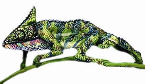 两个女模特全身被涂上彩绘后伪装成一条变色龙 