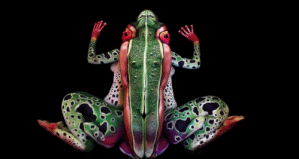 约翰尼斯·斯托特的其他作品