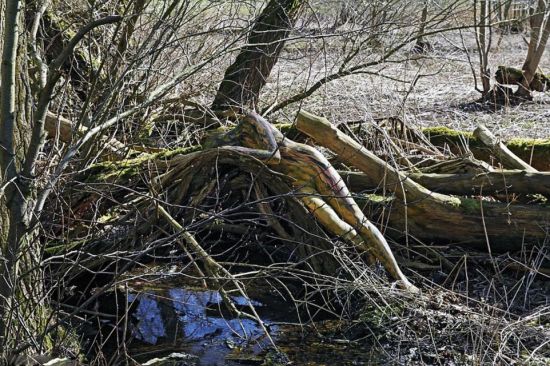 德艺术家彩绘模特“隐身”树林