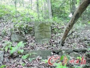 　“字塚”藏身深山无人识，专家希望尽快调研保护。