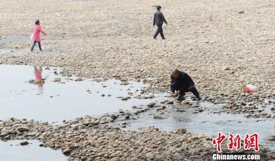 3月上旬，黄河兰州段出现大面积裸滩，引民众捡拾“黄河奇石”。 杨艳敏 摄