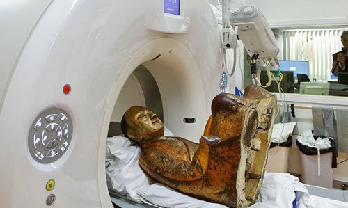 荷兰医院对宝像进行CT扫描（匈牙利《欧洲论坛》、欧洲华通社）
