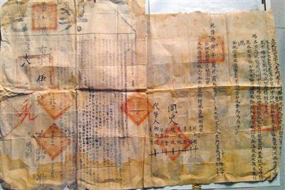 重庆高校的博物馆里 珍藏着很多你不知道的宝贝 