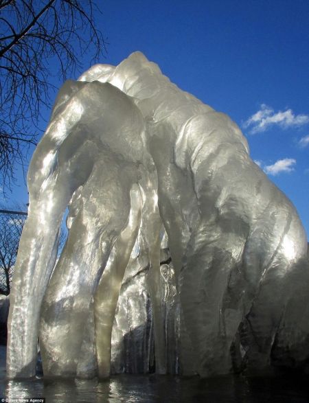 在冬天的阳光下，大自然形成的“冰雕”就这样展现在Annie Degré-Blais的镜头前。（网站截图）
