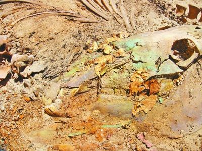 科技让新疆千年文物开口说话