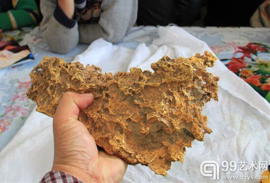 新疆青河县一牧民上周意外捡到重7.85公斤公斤左右的一块狗头黄金