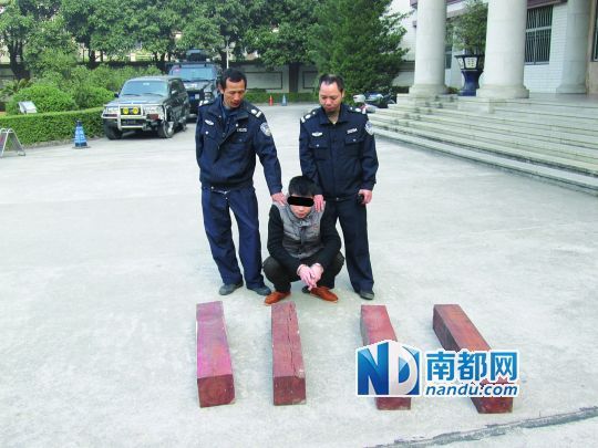 偷走14万元酸枝木以6000元贱卖