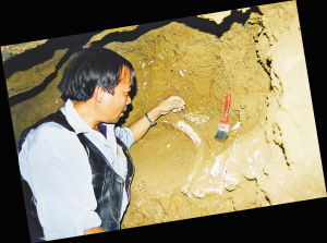 考古学家在迷宫洞内挖掘化石