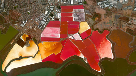 　　美国旧金山的盐田