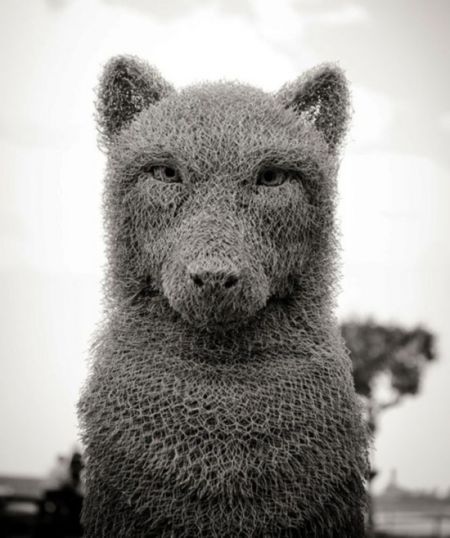 艺术家用金属丝制成“呆萌”的北极熊。