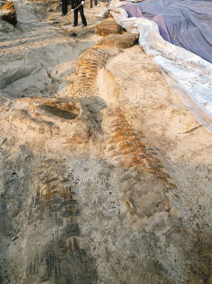 昨日，考古发掘出的“埽”