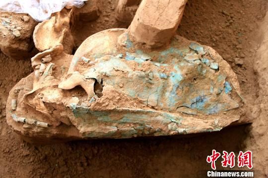 虫坪塬墓地出土文物　陕西考古研究院　摄