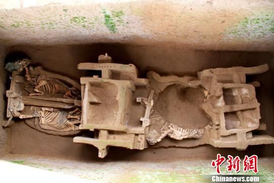 出土的马胄　陕西考古研究院　摄