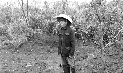 杨老汉所站的位置就是他种植花梨树的地方，他找了半天只找到一根残留的花梨树干。南国都市报记者 徐培培摄