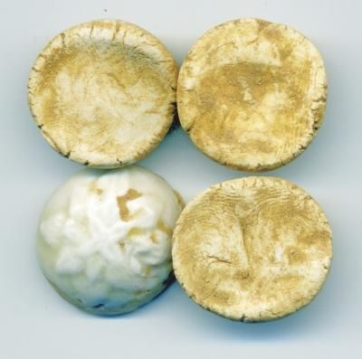 宋代矛尖花手印棋子